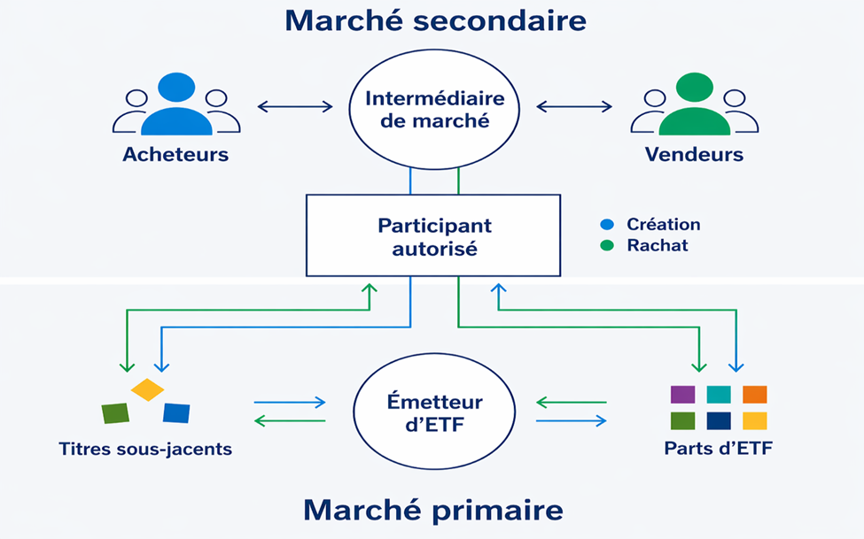 Marché Primaire - Marché secondaire